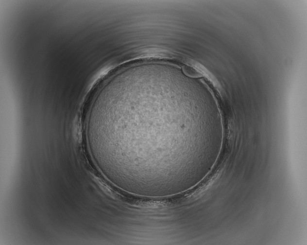 X0000115411067200911101607