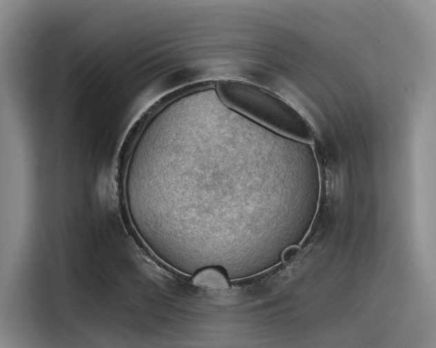 X0000115411068200911101607