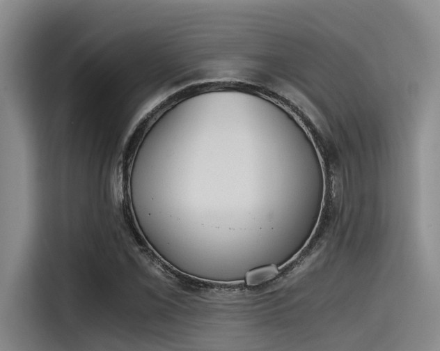 X0000115411069200911101607