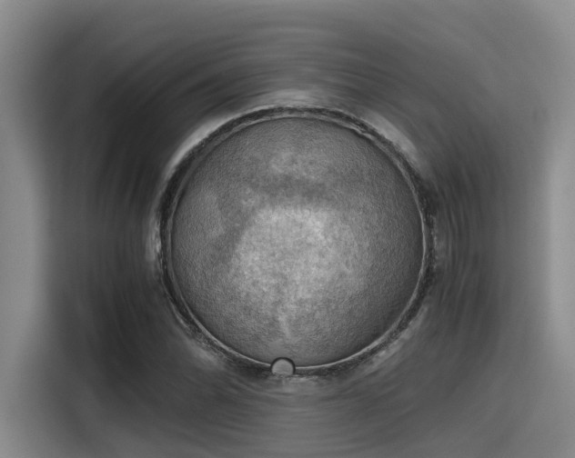 X0000115411070200911101607
