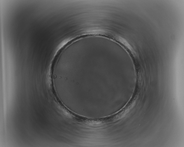X0000115411071200911101607