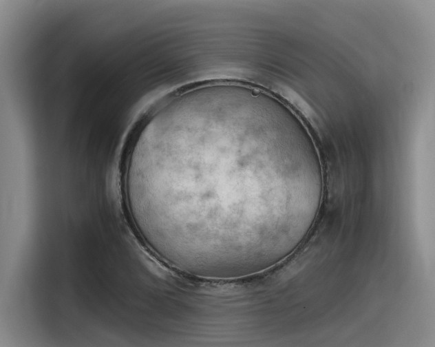X0000115411072200911101607