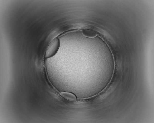 X0000115411073200911101607