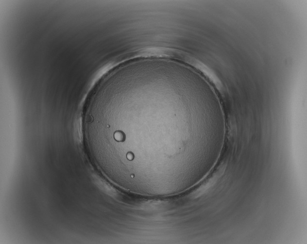X0000115411075200911101607
