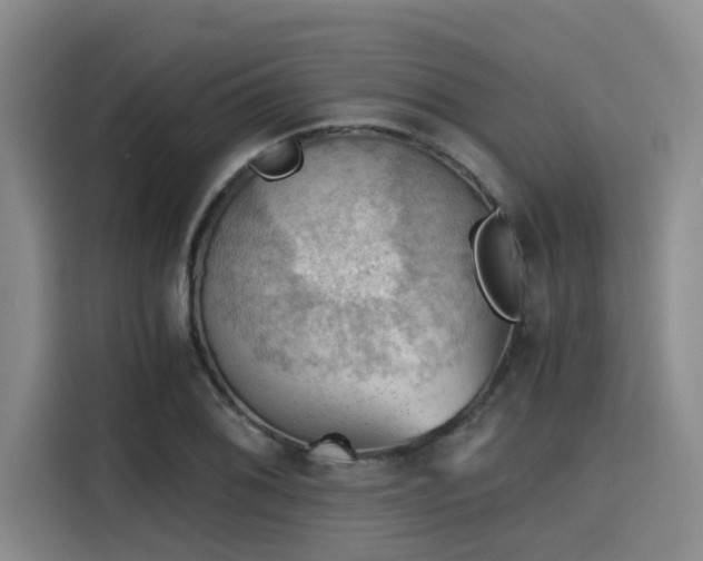 X0000115411076200911101607