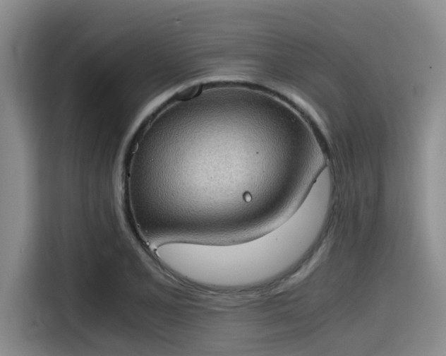 X0000115411077200911101607
