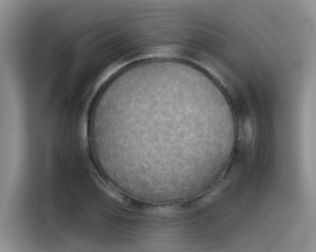 X0000115411078200911101607