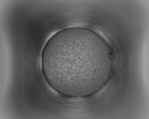 X0000115411079200911101607