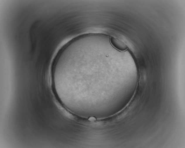 X0000115411080200911101607