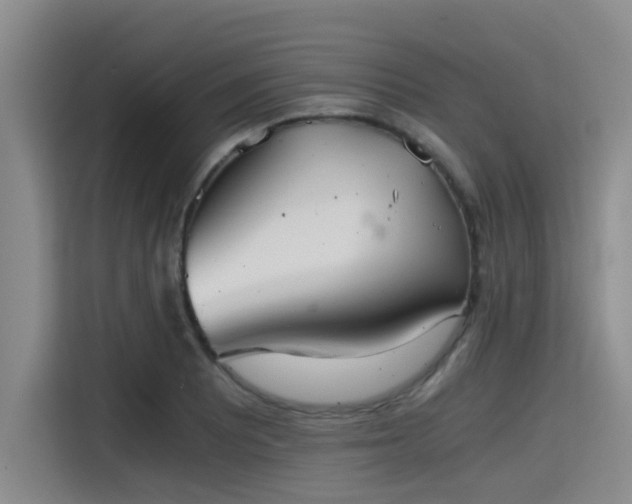 X0000115411081200911101607