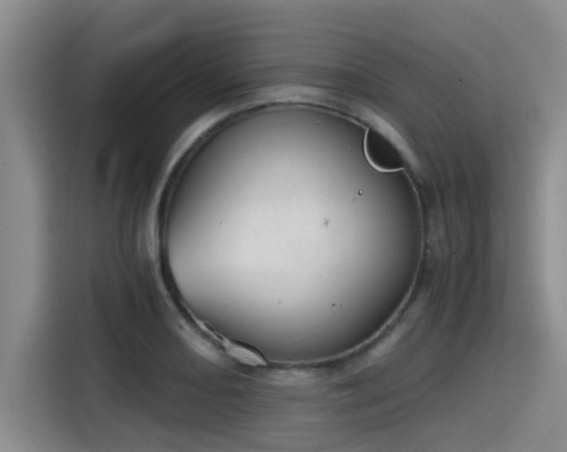 X0000115411082200911101607