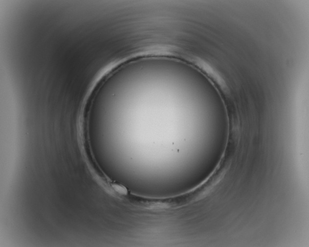 X0000115411085200911101606