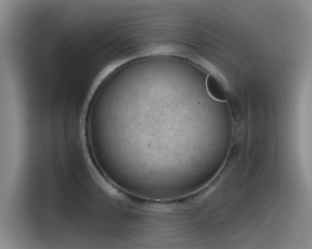 X0000115411086200911101606