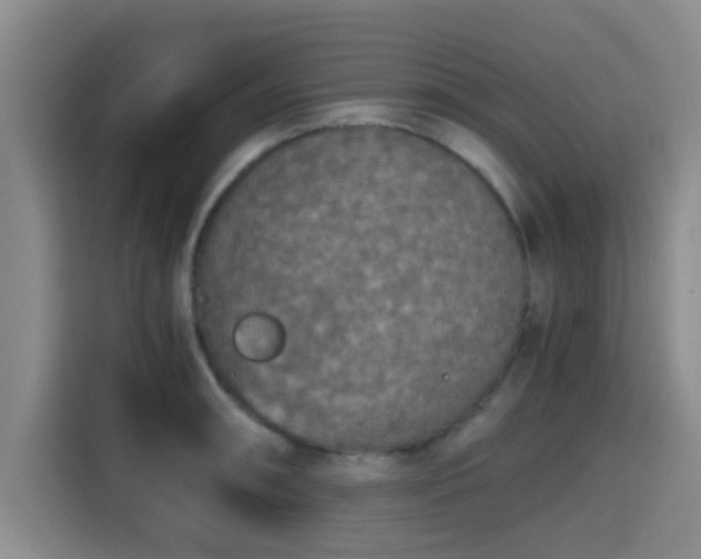 X0000115411090200911101606