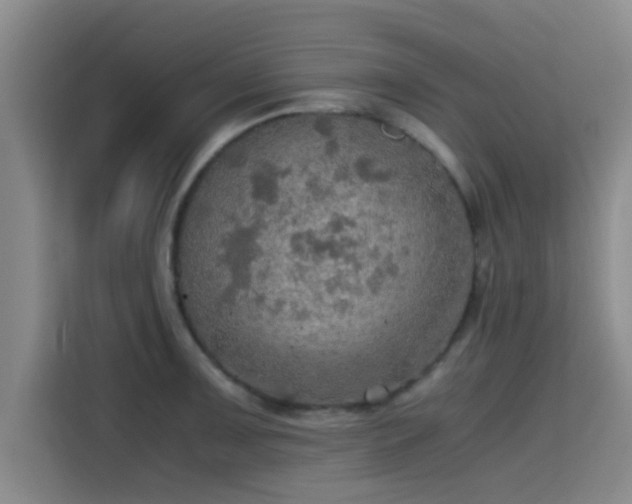 X0000115411091200911101606