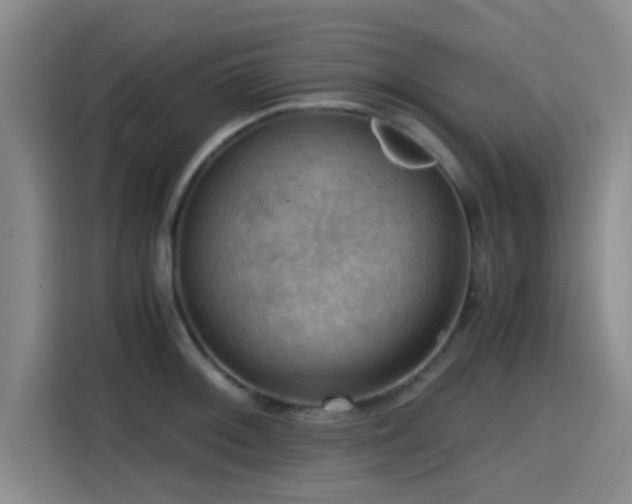 X0000115411092200911101606