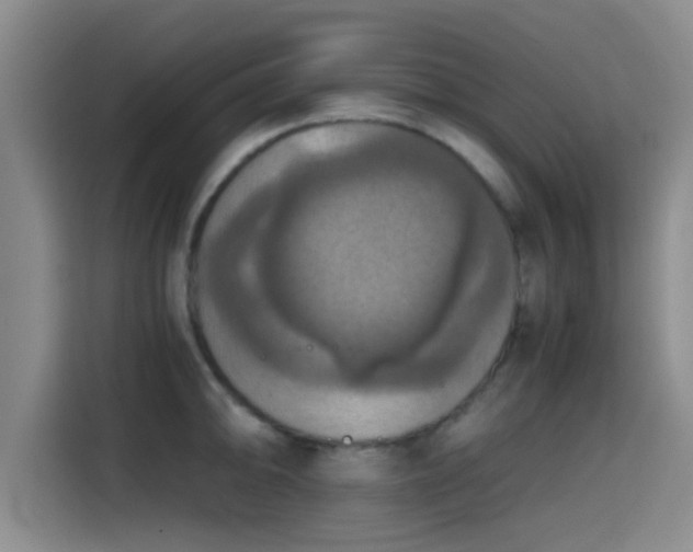X0000115411094200911101606
