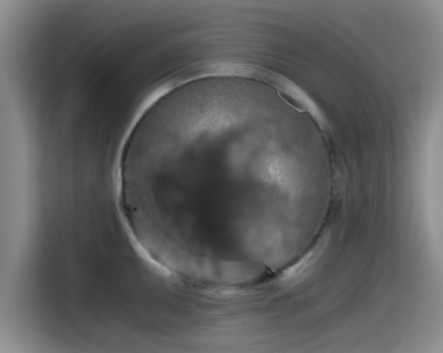 X0000115411095200911101606
