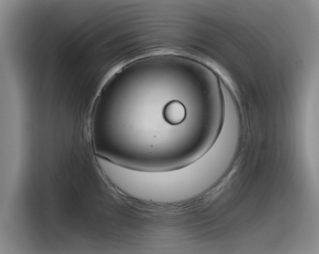 X0000115411097200911101606