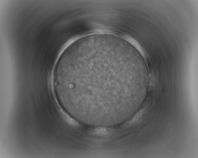 X0000115411098200911101606