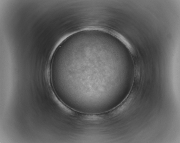 X0000115411100200911101606