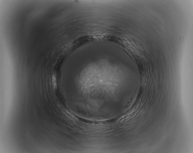 X0000115411106200911101606