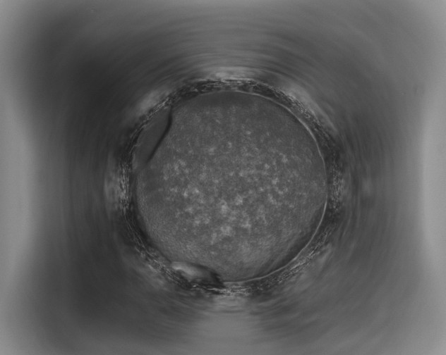 X0000115411110200911101606