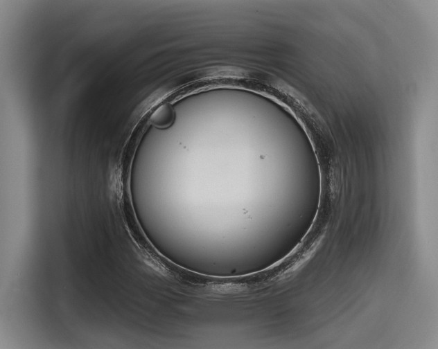 X0000115411113200911101606