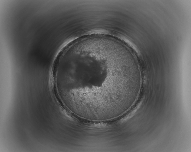 X0000115411117200911101606