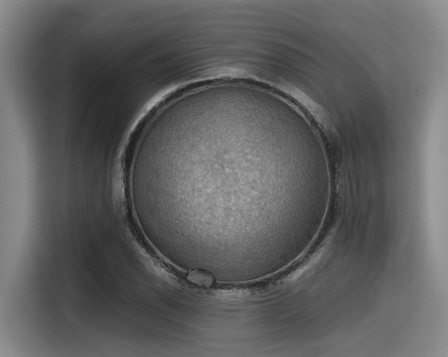 X0000115411118200911101606