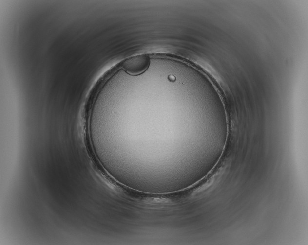 X0000115411119200911101606