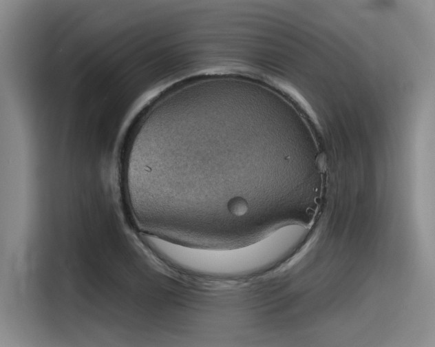 X0000115411122200911101606