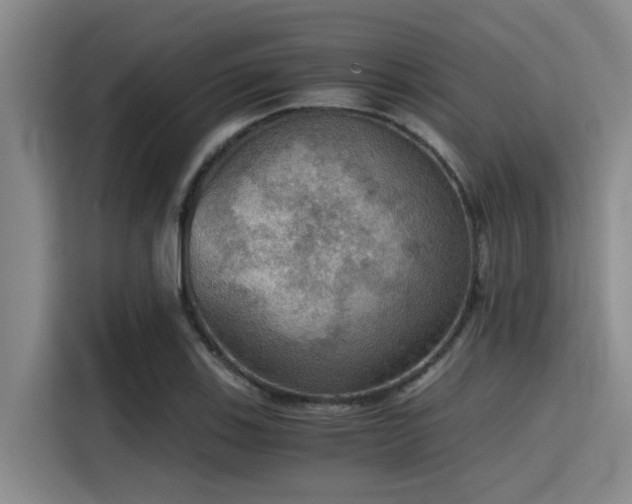 X0000115411123200911101606