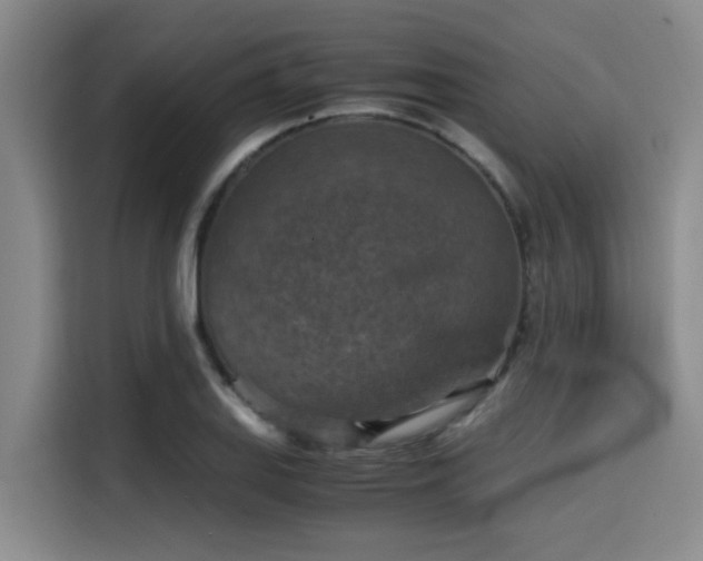 X0000115411127200911101606