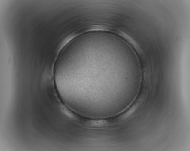 X0000115411129200911101606
