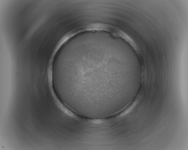 X0000115411130200911101606