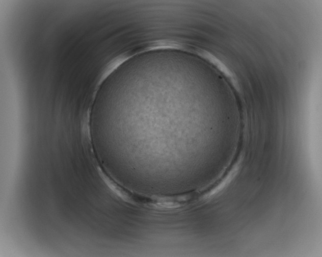 X0000115411137200911101606
