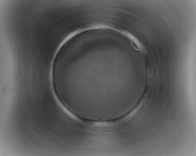 X0000115411142200911101606