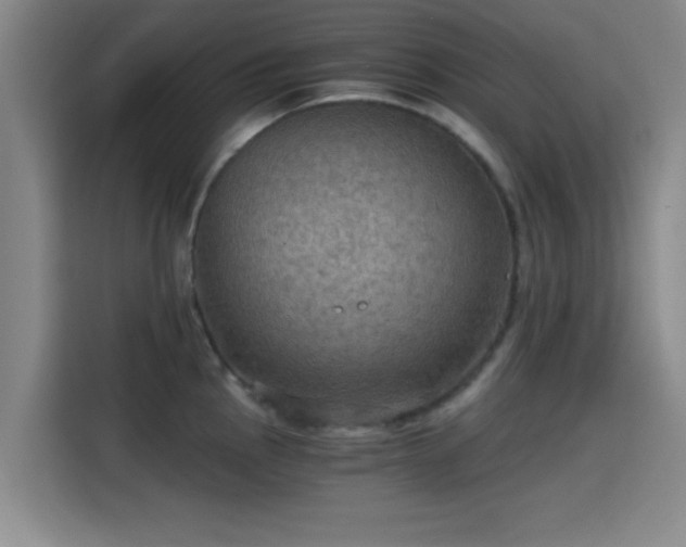 X0000115411145200911101606