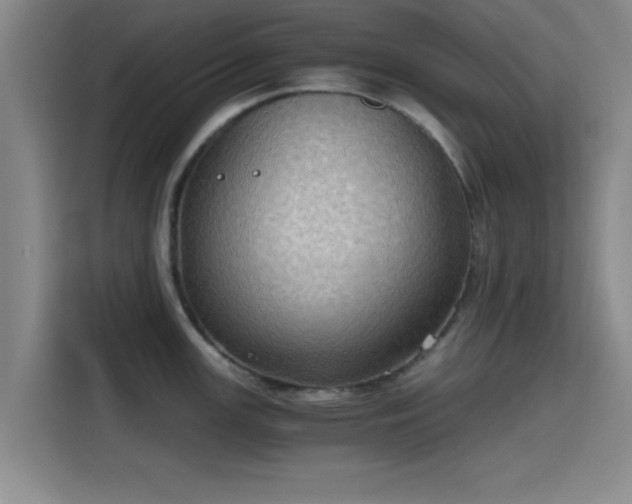 X0000115411147200911101606