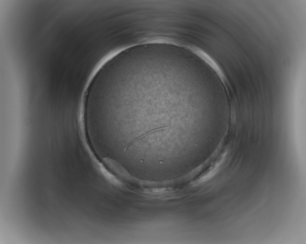 X0000115411149200911101606