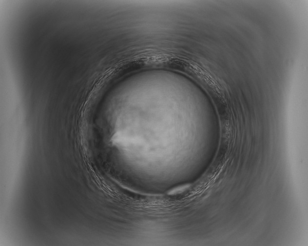 X0000115411153200911101606