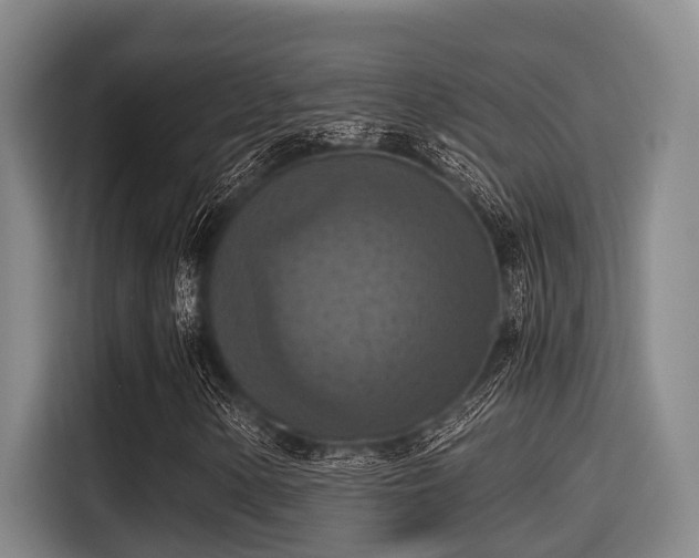X0000115411154200911101606