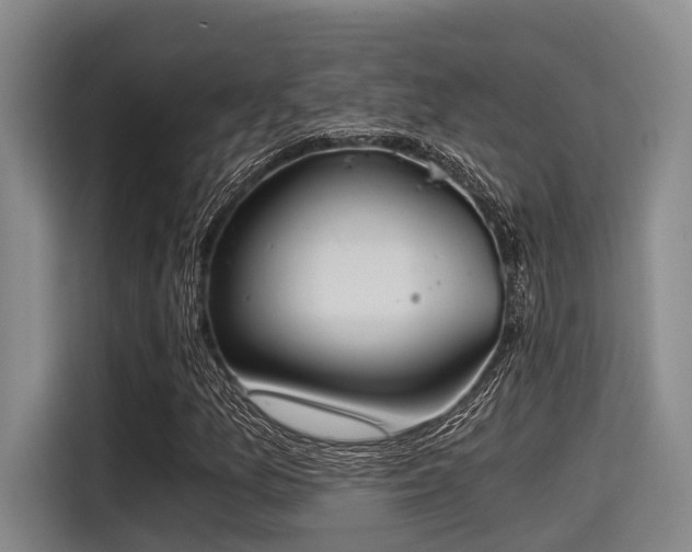X0000115411157200911101606