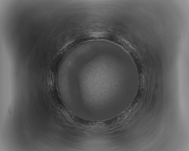X0000115411158200911101606