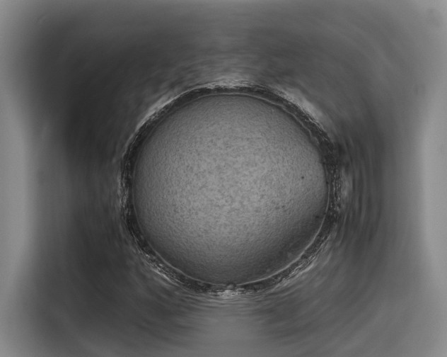 X0000115411160200911101605