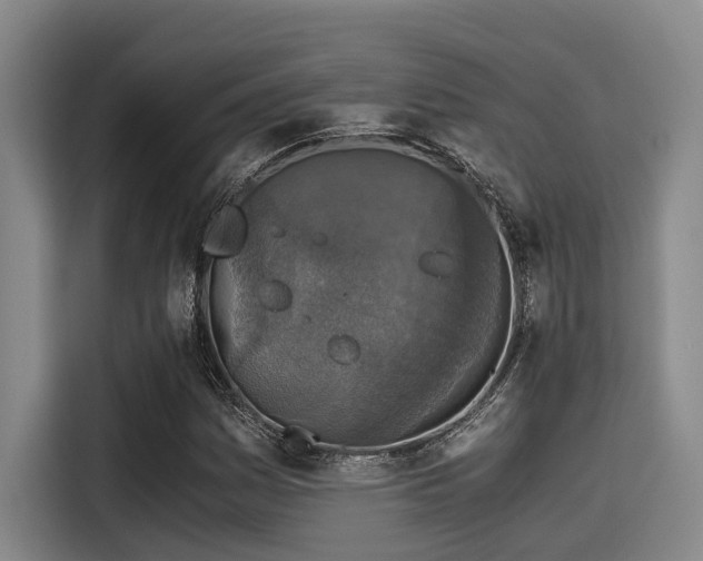 X0000115411161200911101605