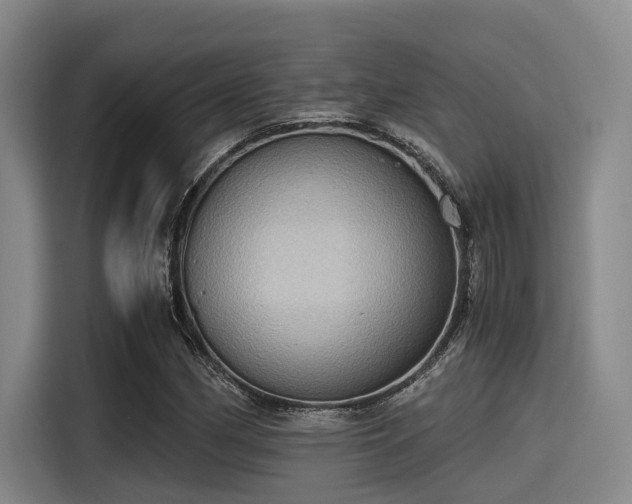 X0000115411162200911101605