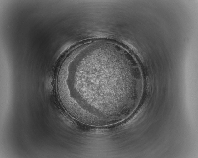 X0000115411163200911101605