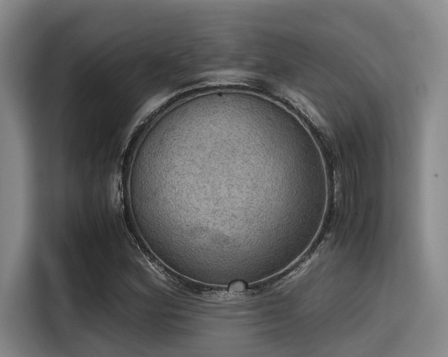 X0000115411164200911101605